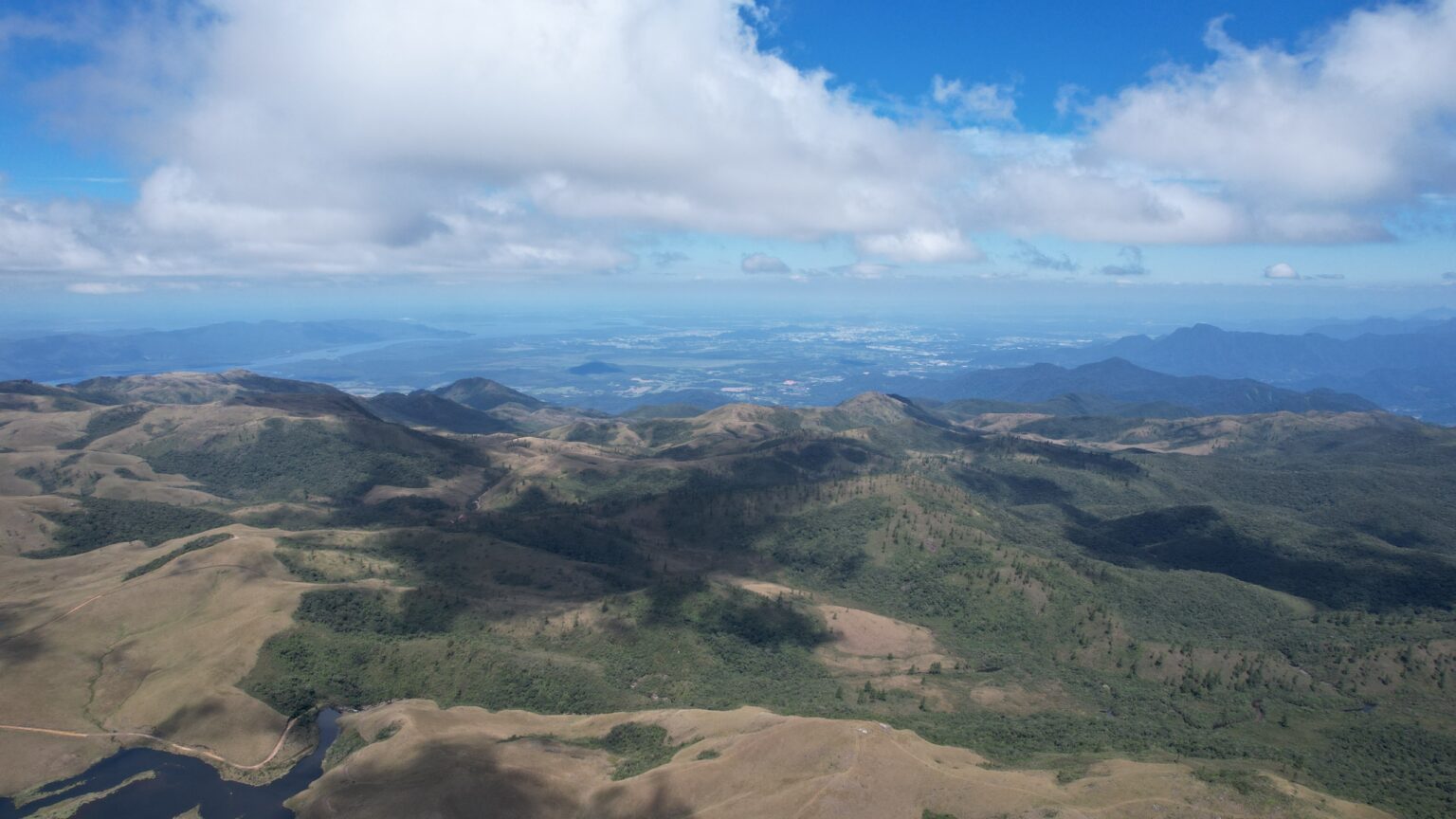 Garuva controla mais de 10 mil pinus invasores nos Campos do Quiriri Garuva controla mais de 10 mil pinus invasores nos Campos do Quiriri